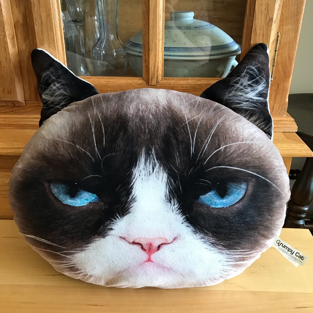 Grumpy Cat face pillow by Jakks